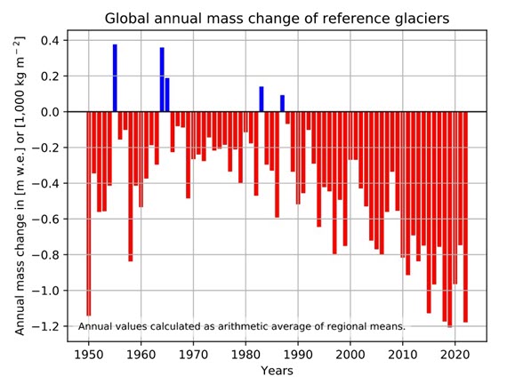 Global annual mass change of reference glaciers